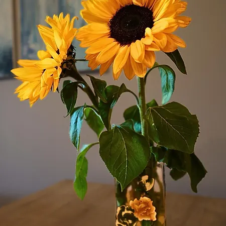 Wygodny Przy Uniwersytecie, Parking Apartament *