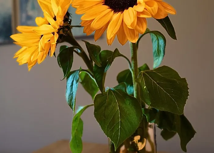 Wygodny Przy Uniwersytecie, Parking Apartamento *