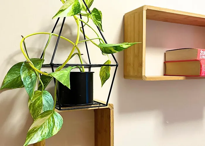 Wygodny Przy Uniwersytecie, Parking